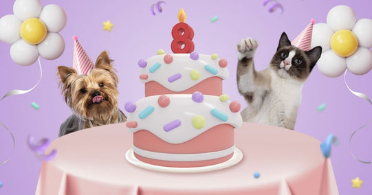 Vital Pet Life is 8 years old! 🥳