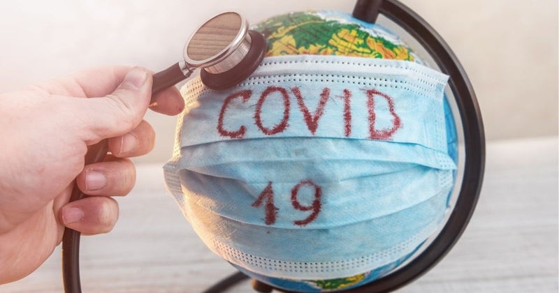 Can Our Furry Friends Get COVID-19 (Coronavirus)