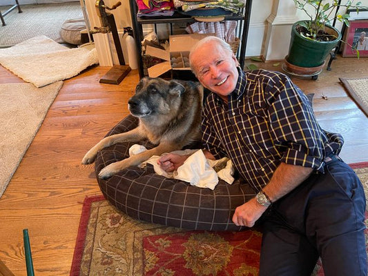 President Joe Biden with his dog