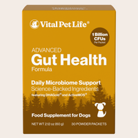 Advanced Gut Health for Dogs