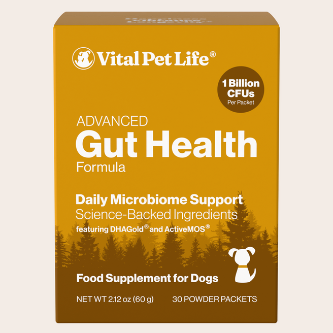 Advanced Gut Health for Dogs