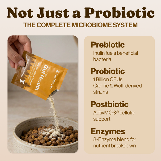 Advanced Gut Health for Dogs