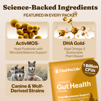 Advanced Gut Health for Dogs
