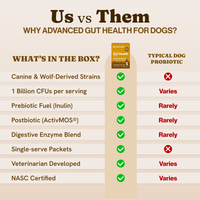 Advanced Gut Health for Dogs