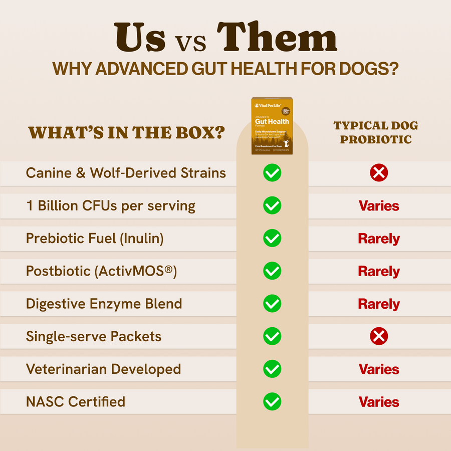 Advanced Gut Health for Dogs