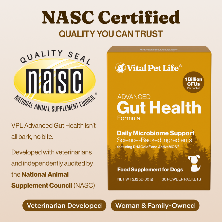 Advanced Gut Health for Dogs
