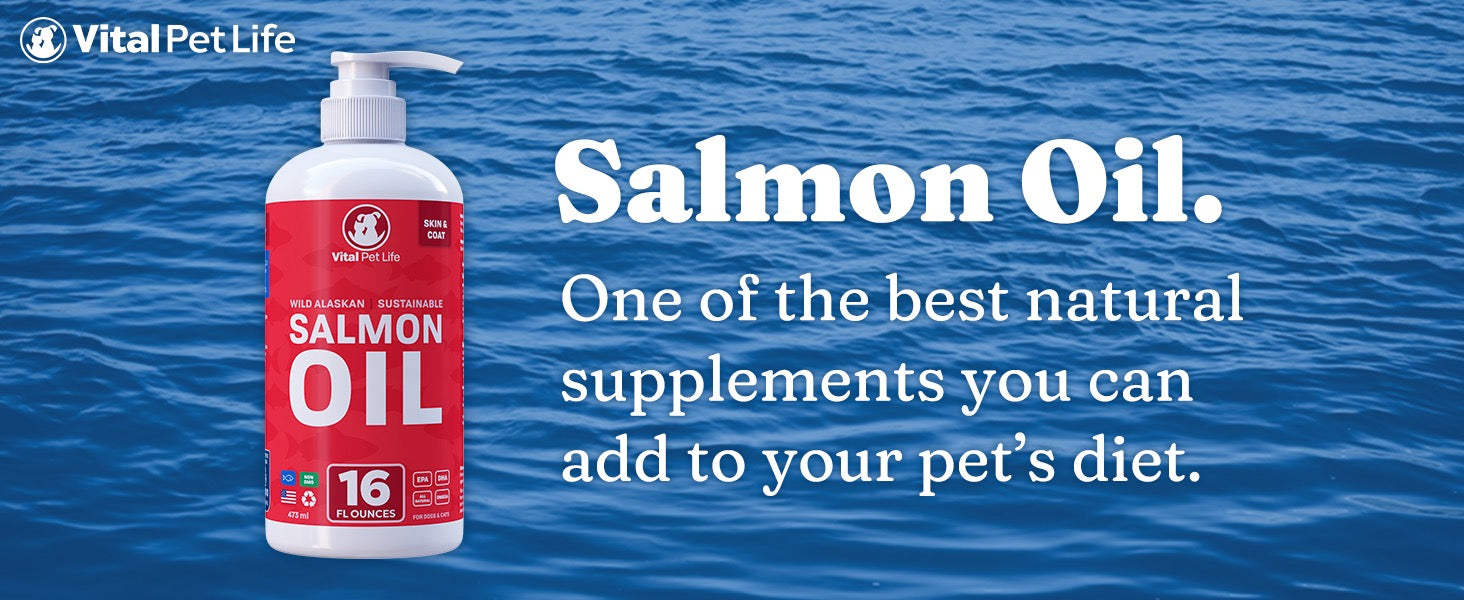 Vital Pet Life Wild Alaskan Salmon Oil for Dogs & Cats, Omega 3 - 16oz