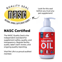 Salmon Oil