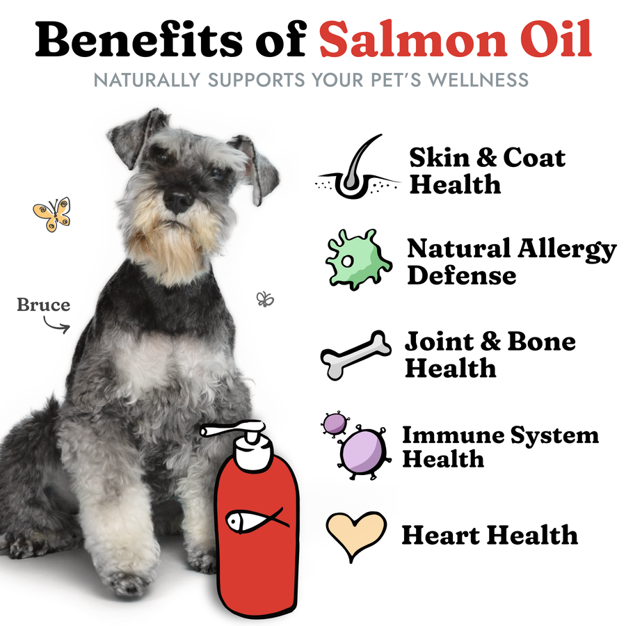 Is salmon oil bad for dogs clearance