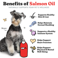 Salmon Oil