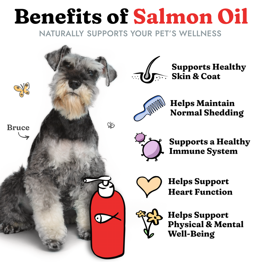 Salmon Oil