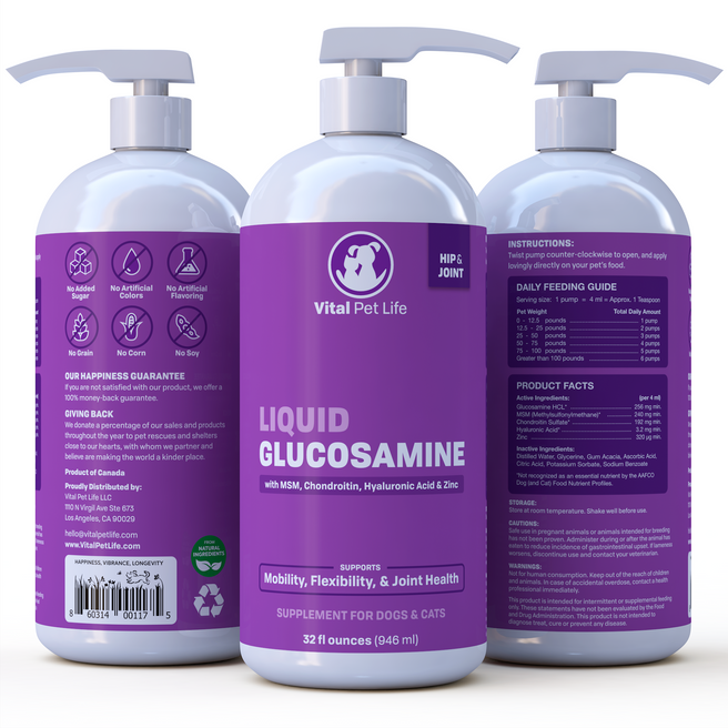 Liquid Glucosamine MSM Chondroitin
