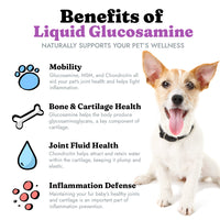 glucosamine for dogs