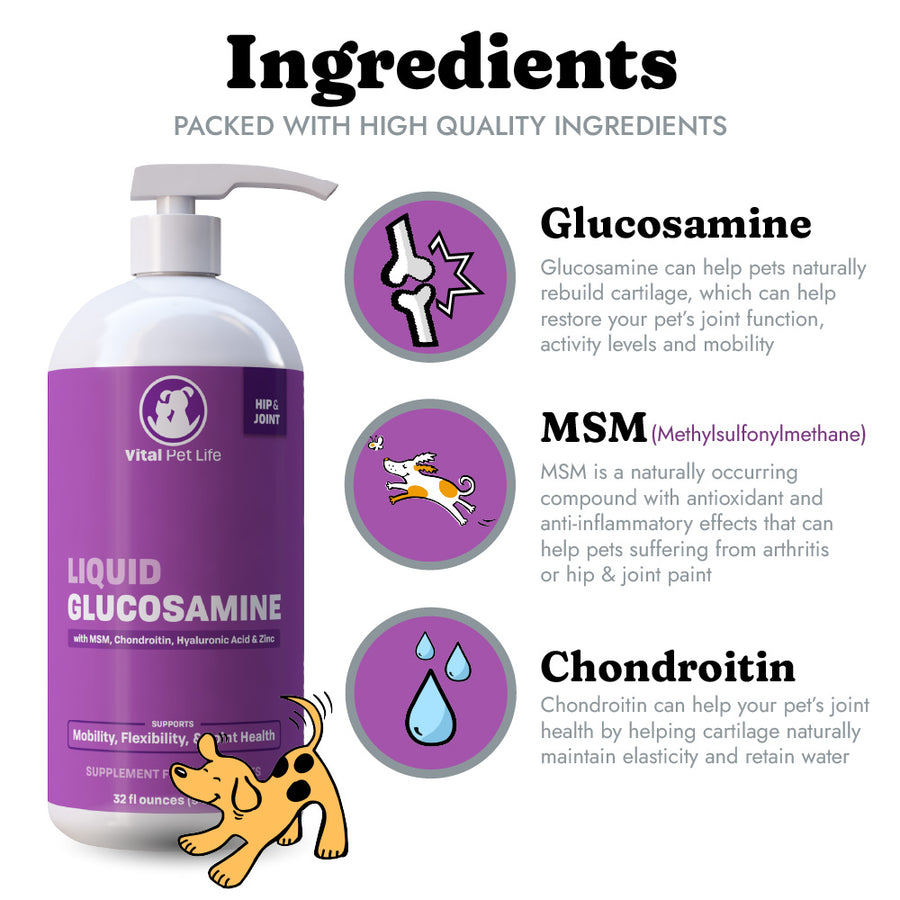 glucosamine for dogs