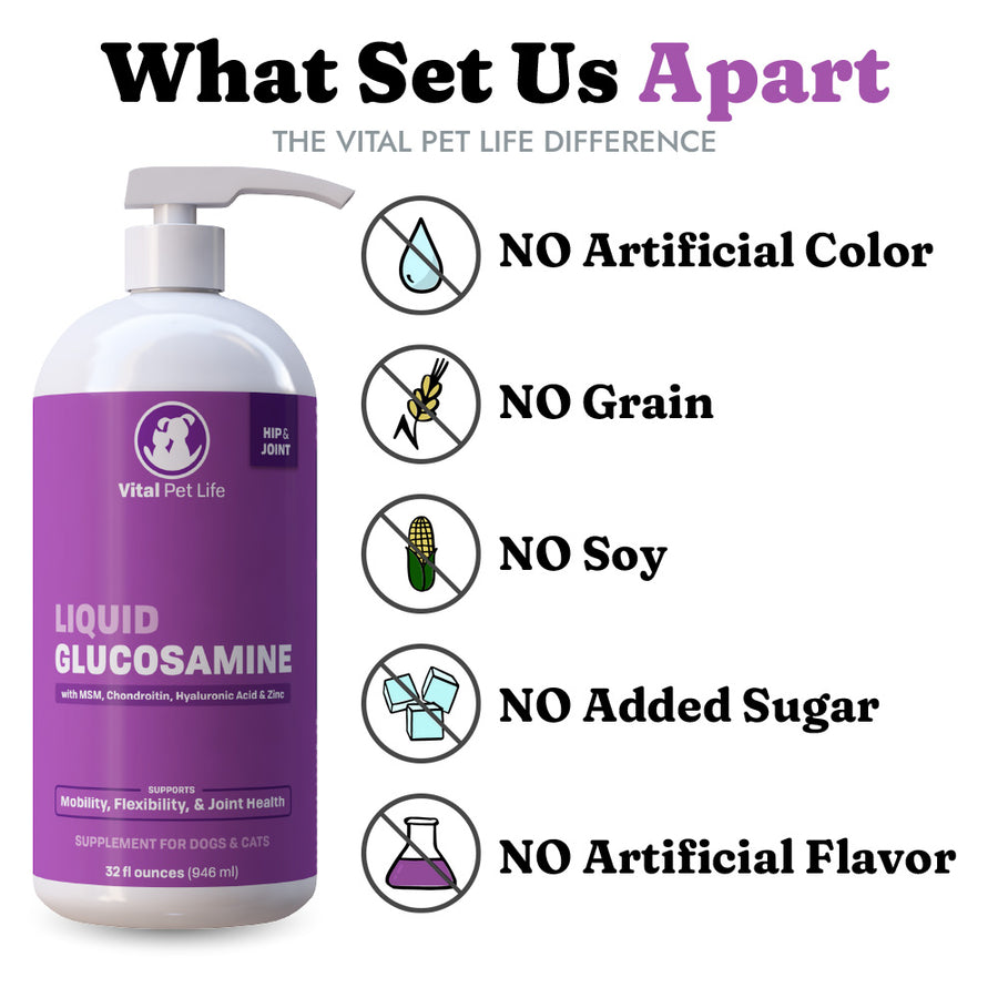 glucosamine for dogs