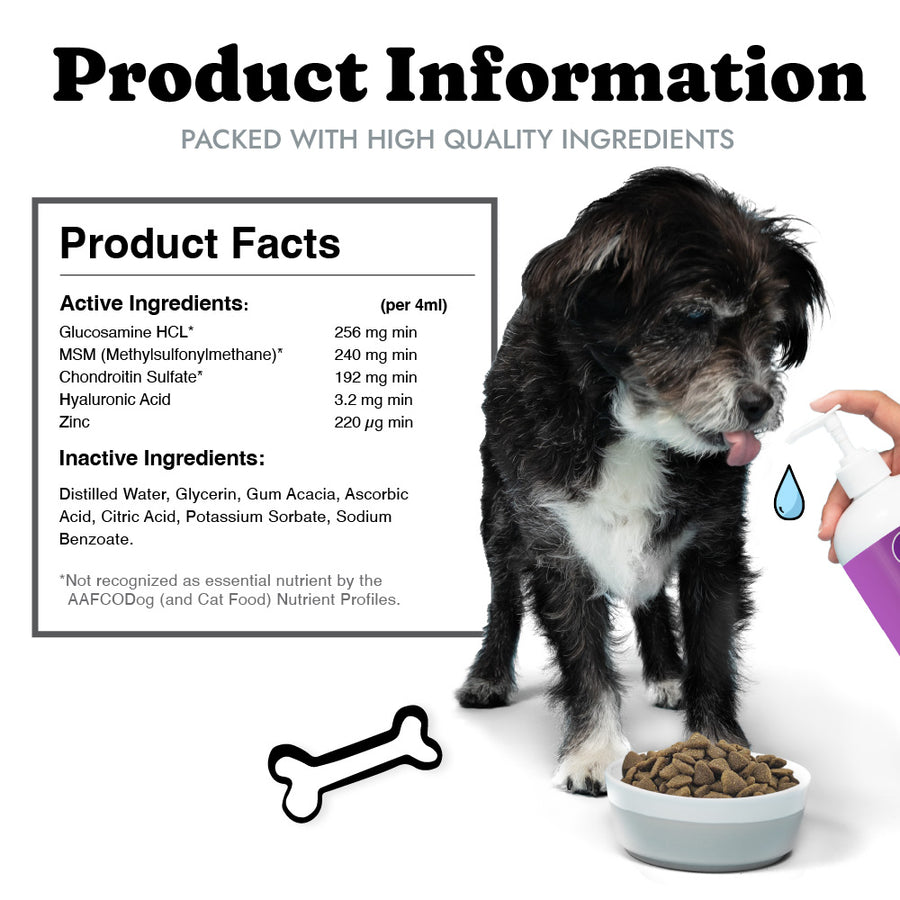 glucosamine for dogs