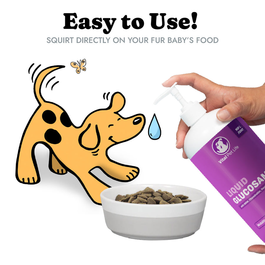 Vital Pet Life Liquid Glucosamine Chondroitin for Dogs Cats