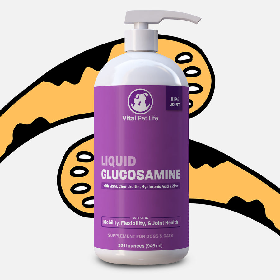 Liquid Health K9 Glucosamine Joint Supplement For Dogs In Austin, Texas – Tomlinson's Feed - Foto 13