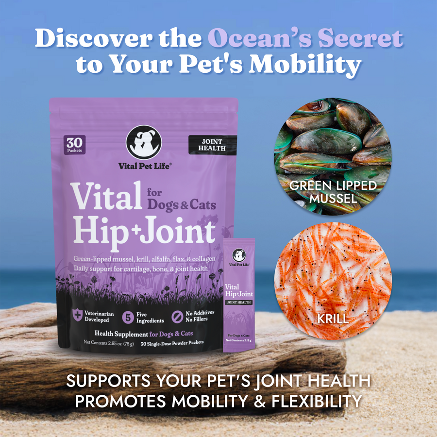Vital Hip & Joint for Dogs and Cats