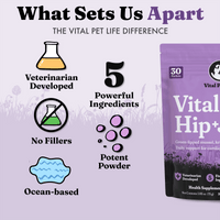 Vital Hip & Joint for Dogs and Cats