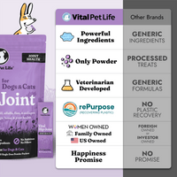 Vital Hip & Joint for Dogs and Cats