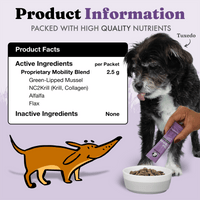 Vital Hip & Joint for Dogs and Cats