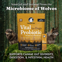 Vital Probiotic for Dogs