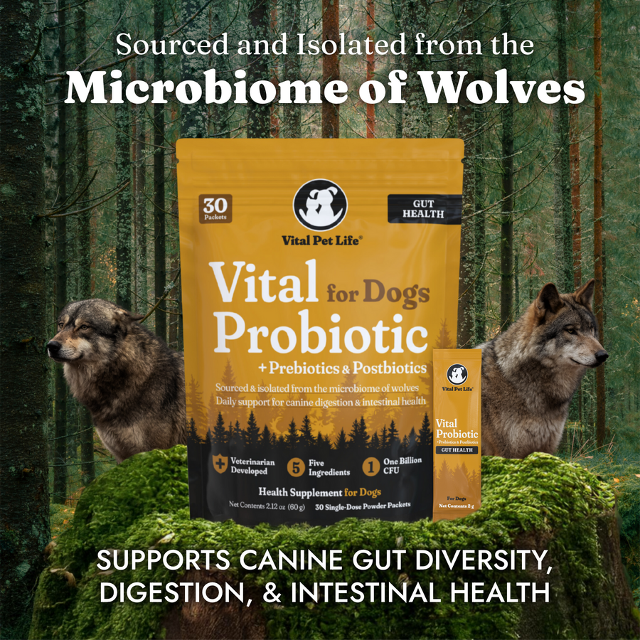 Vital Probiotic for Dogs