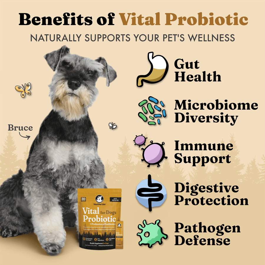 Vital Probiotic for Dogs