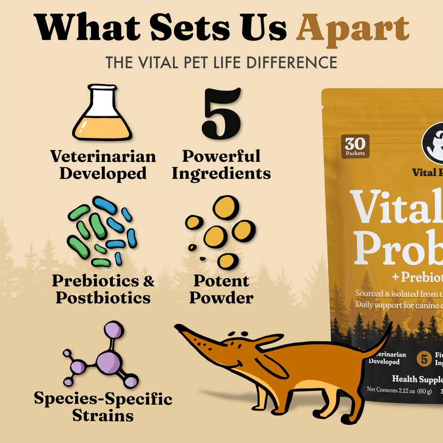 Vital Probiotic for Dogs