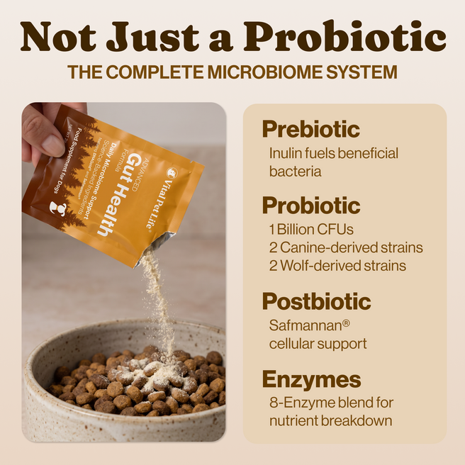 Advanced Gut Health for Dogs