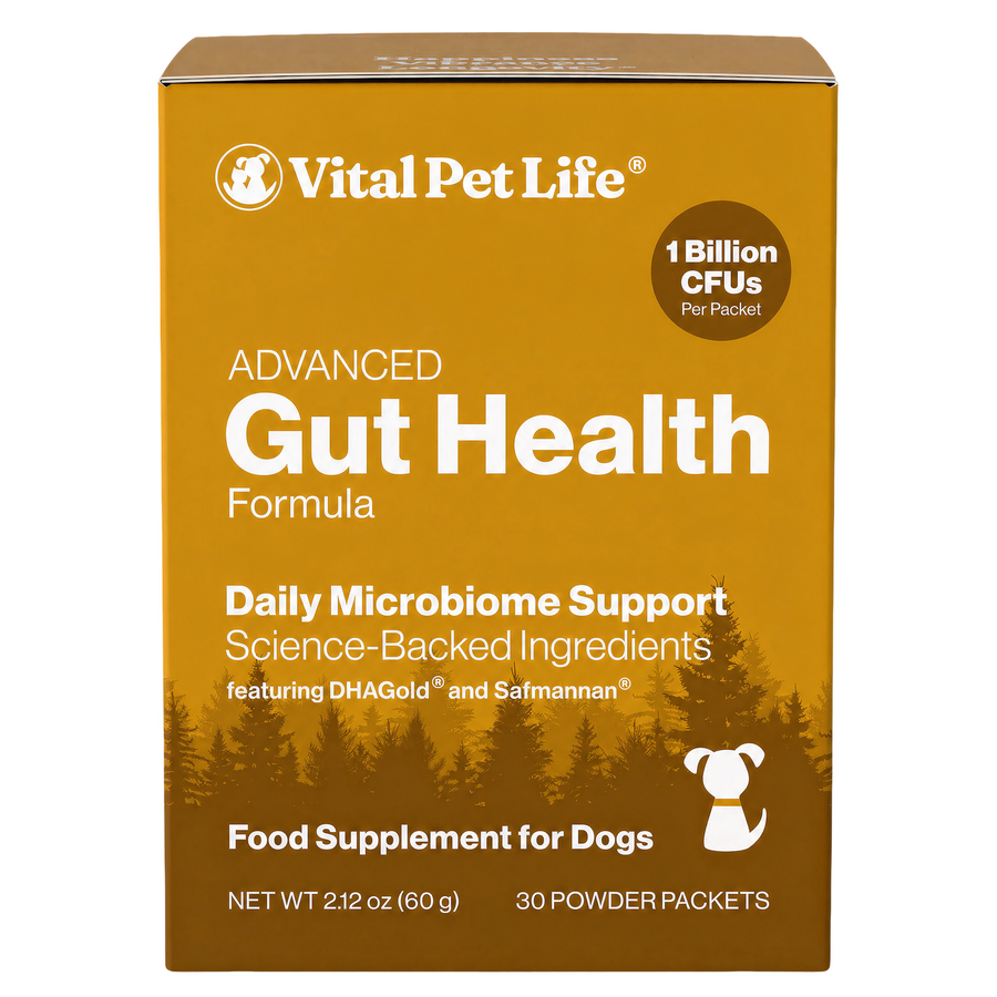 Advanced Gut Health for Dogs