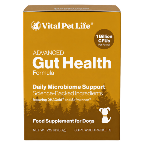 Advanced Gut Health for Dogs