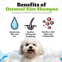 Oatmeal Aloe Shampoo