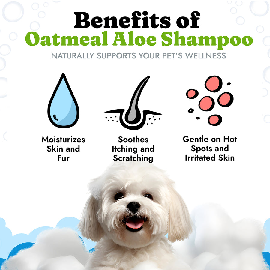 Oatmeal Aloe Shampoo