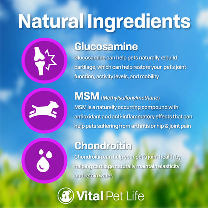 Liquid Glucosamine MSM Chondroitin for Pets