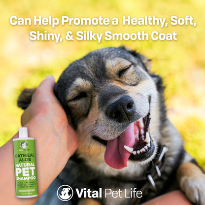 Oatmeal Aloe Shampoo Benefits for pets