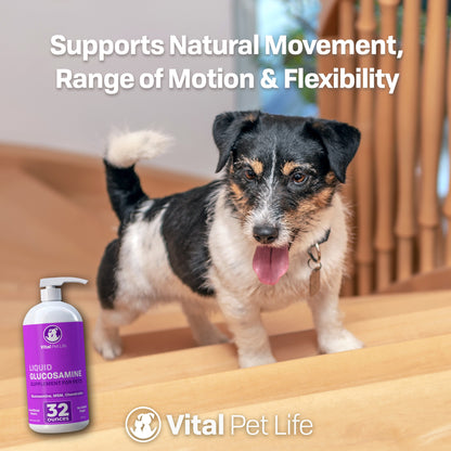 Liquid Glucosamine MSM Chondroitin Benefits for Pets