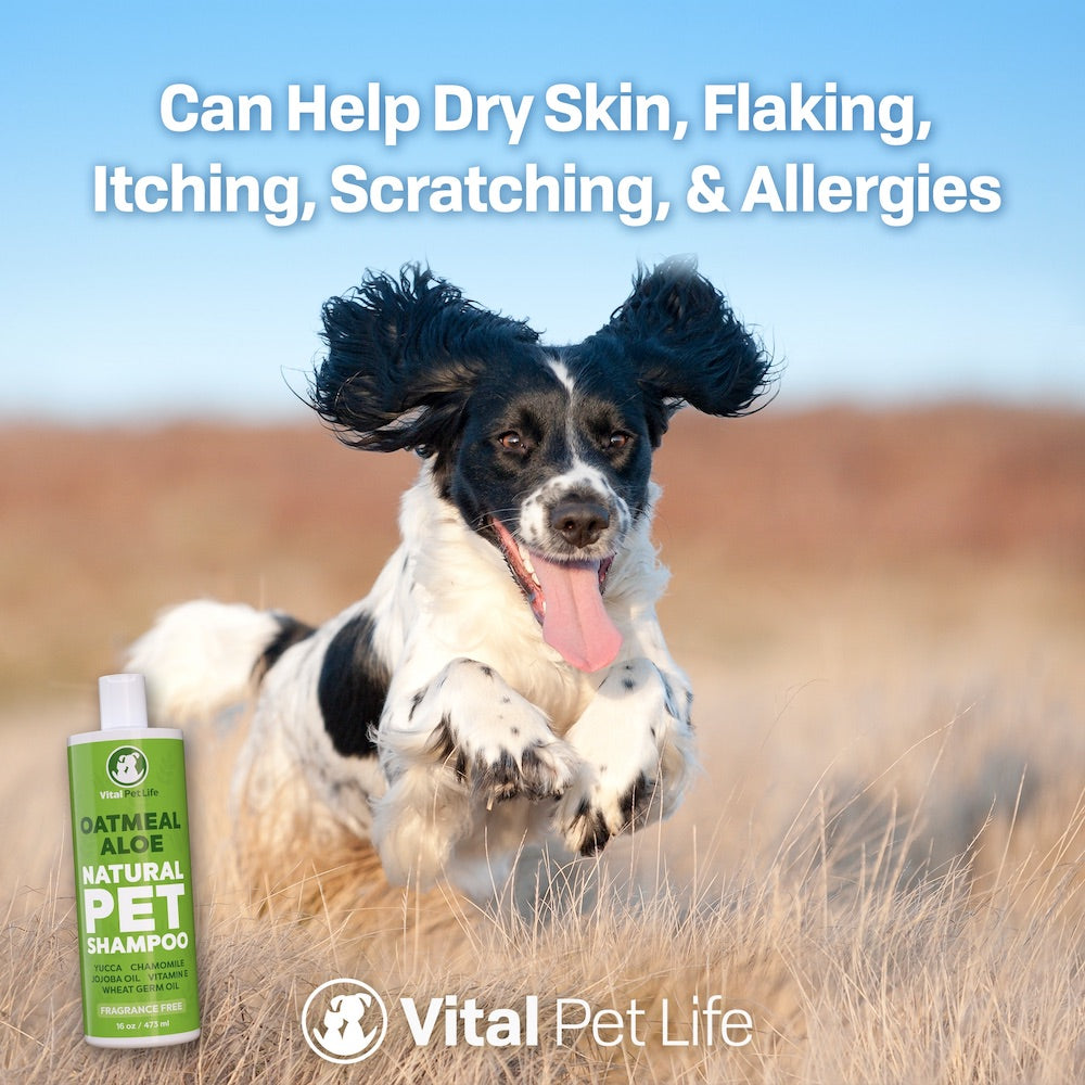 Oatmeal Aloe Shampoo benefits for pets